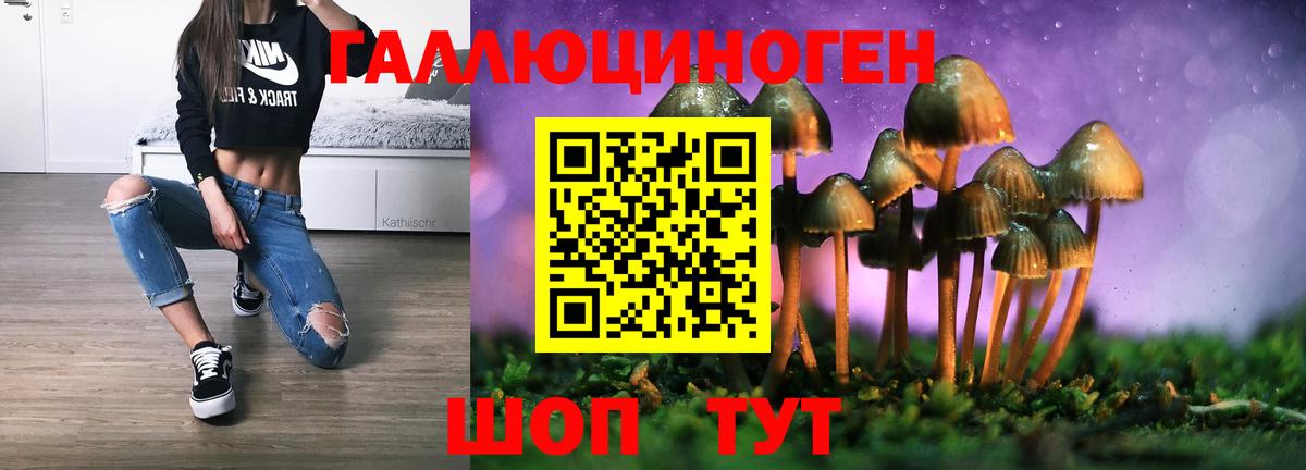 Галлюциногенные грибы ЛСД  Вход с VPN  Знаменск  Галлюциногенные грибы Psilocybe 